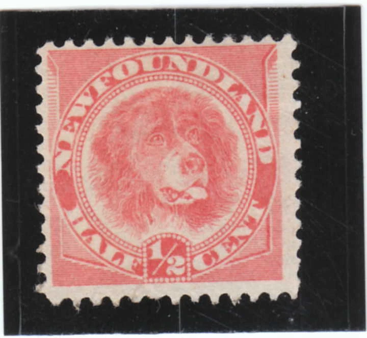 Newfoundland  1880-1898 Issue   Scott  # 57 red org.  MH - Image 1 of 1
