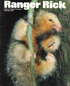RANGER RICK February 1993. Single Issue Magazine. National Wildlife Federation - Picture 1 of 2