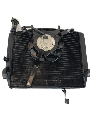 Ventilador de refrigeración enfriador de radiador Triumph Daytona 675 2006-2012 OEM Foto 1 de 4