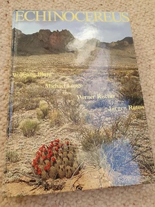 Echinocereus Monographie, Blum Lange Rischer Rutow , Kakteen, cactus - Bild 1 von 5