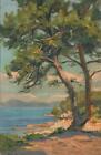 1932 VINTAGE F. Levi Painting Pine Trees at Ste Marguerite POSTCARD