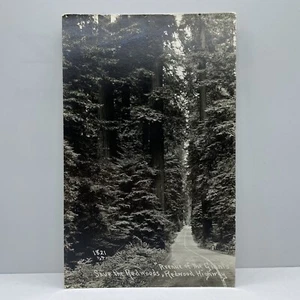 RPPC Avenue of the Giants - California Save the Redwoods Highway Postcard - 1821 - Picture 1 of 2