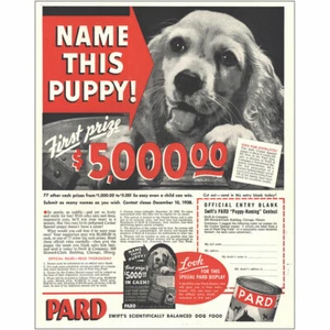 1938 Pard Dog Food: Name This Puppy Vintage Print Ad - Picture 1 of 1