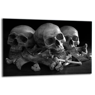 TMK Placa de cubierta de cocina cubierta de vitrocerámica protección contra salpicaduras vidrio 80x52 cráneo