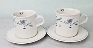 Set of 2 Pfaltzgraff Farmhouse Coffee/Tea Cups & Saucers 8 oz. - Bild 1 von 8