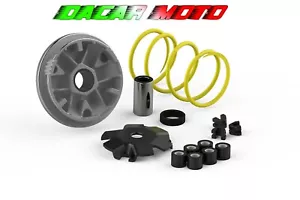 Variator MALOSSI Multivar Honda Sgx Sky 50 2T 517117 - Picture 1 of 6