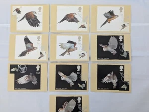 PHQ Postcards 2003 Set 249 - BIRDS OF PREY - Front FDI Various SHS Free UK P/P - Picture 1 of 14