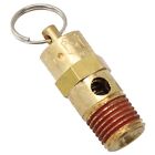 Stainless Steel Spring Safety Relief Valve for 1/4 NPT Air Compressors