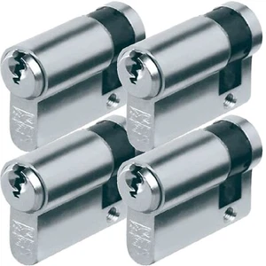 4-Stück Halb Garagentor Tür Profilzylinder mit 12 X Schlüssel 40X10 länge - Bild 1 von 2