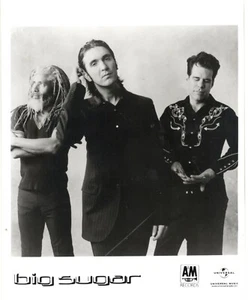 Vintage Pressefoto der Big Sugar Band Schwarzweiß 8" x 10" - Universal Musik - Bild 1 von 1