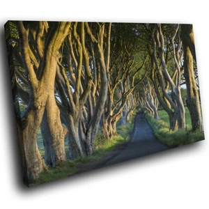 SC917 dark hedges ireland kings road Landscape Canvas  Art Large Picture Prints - Picture 1 of 6
