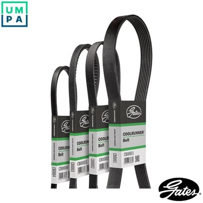 VBELT CB0037 - Image 1 of 4