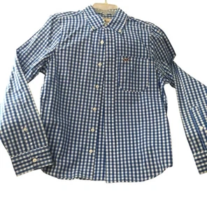 HOLLISTER Button Down Long Sleeve Blue Check Casual Shirt Boy's Size XL - Picture 1 of 8