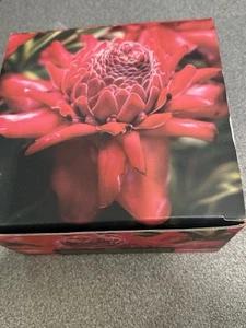 The Ginger Factory Red Torch Tea Cup and Saucer Set New Fine Bone China - Foto 1 di 9