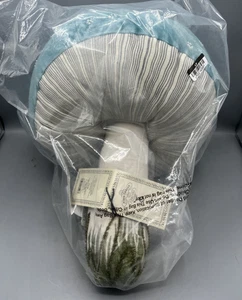 John Derian Target Thanksgiving Perlen Pilz Plüsch Kissen blau 17x14 NEU - Bild 1 von 4