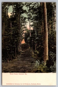 Postal vintage de madera de carretera Camden Maine publicada en Alemania principios de 1900 - Imagen 1 de 2