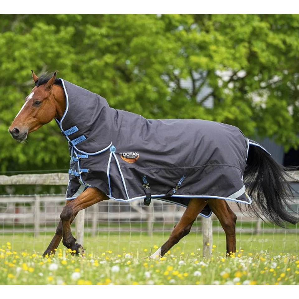 GALLOP EQUESTRIAN Galopp Toofan 350Gm Kombi Weiche grau/himmel