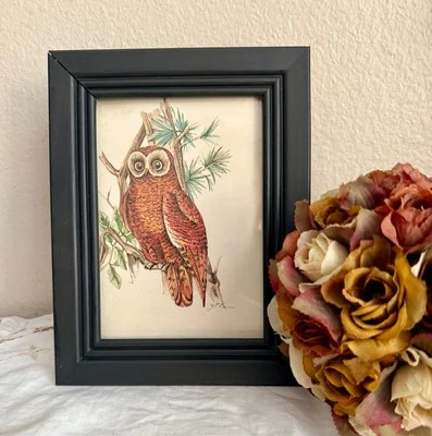 Estampado de búho extraíble vintage en marco pintado reciclado moderno de mediados de siglo 5 x 7 Foto 1 de 4