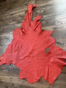 Ostrich skin Leather,  (%100 Natural Genuine Hide)RED Grade B. Size:12 - Picture 1 of 5
