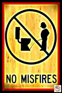 *SIN FAL INCENDIOS* ¡HECHO EN EE. UU.! LETRERO DE METAL 8X12 BARRA DIVERTIDA ESPOSA BUENA PUNTERÍA BAÑO BAÑO DE DESCANSO - Imagen 1 de 1