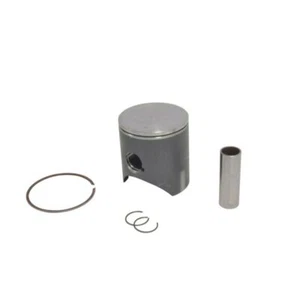 Athena 13-15 GASGAS For EC 125 53.94mm 2T Cast Piston - Picture 1 of 1