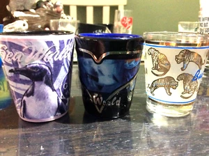 2000's Sea World + Busch Gardens Shot Glasses Set Glass Bar Drinks Souvenir 3pc - Picture 1 of 7