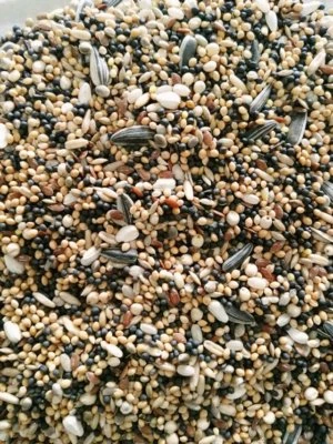 MATADOR MISCHFUTTERWERK Matador Sämereienmischung Fit 25 kg für Tauben kleine Sämereien Saatenmischung