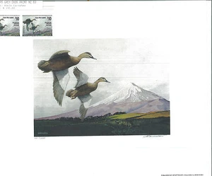 NEW ZEALAND #3 1995 STATE DUCK STAMP PRINT N.Z. SHOVELER Adele Earnshaw - Picture 1 of 1