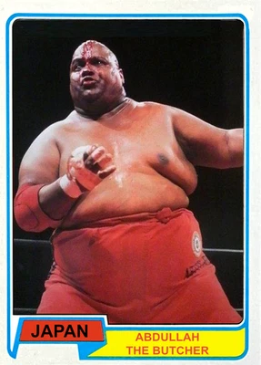 2025 LJACards "Japan tour 1980" Puroresu Wrestling Trading Cards ACEO - Image 1 of 2