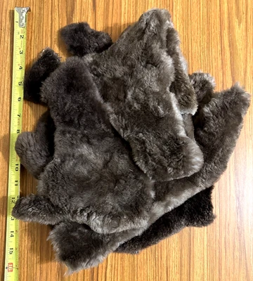 Bolsa a granel curtida de piel de castor arrancada y esquilada, atar moscas, sin precio base Foto 1 de 2