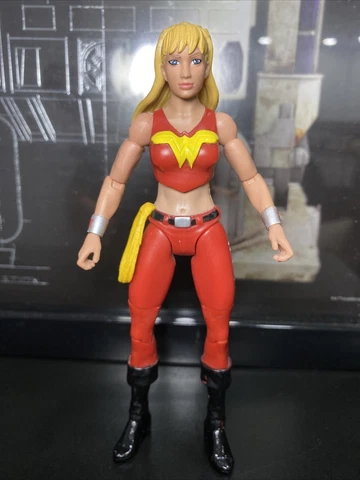 Mattel WONDER GIRL DR Psycho Series DC COMICS MULTIVERSE Classics 2016 6in Cover