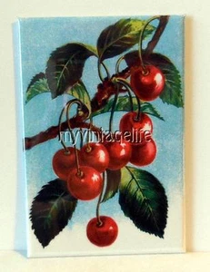 VINTAGE CHERRIES ON A BRANCH 2" x 3" Fridge MAGNET art cherry - Picture 1 of 1