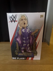 NATURE BOY RIC FLAIR WWE WRESTLING BOBBLEHEAD RARE FOCO WRESTLING LEGEND WCW - Picture 1 of 4