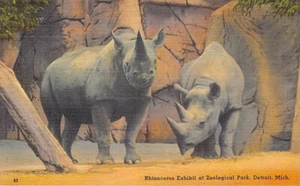 Postal MI: Exposición de rinocerontes, zoológico de Detroit, Michigan, lino vintage años 40 - Imagen 1 de 2