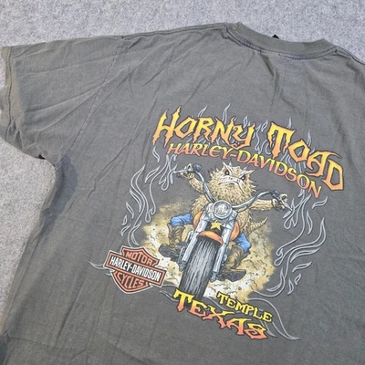 Vintage Harley Davidson Shirt Mens XL Green Horny Toad Temple Texas Flames Faded - Image 1 of 4