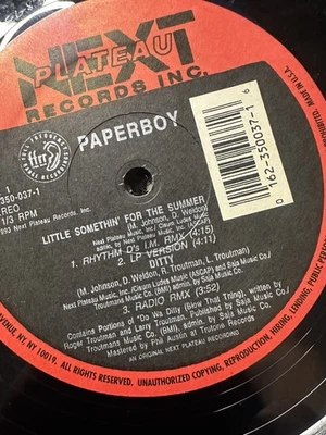 Пластинка долгоиграющая PAPERBOY Ditty Club Remix Little Somethin' For The Summer - Изображение 1 из 4