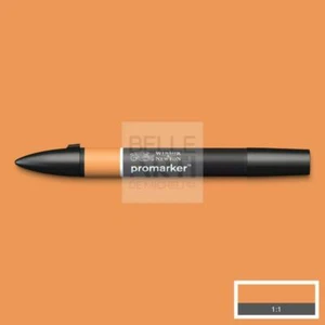 PENNARELLO PROMARKER - GINGER O136 - Picture 1 of 1