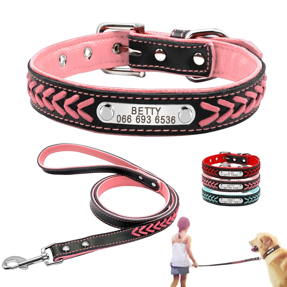 Braided Leather Personalized Dog Collar and Leash set Custom Engraved Name Tag - Image 1 of 4
