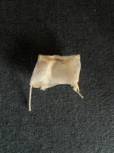 VINTAGE FASHIONS BARBIE and MIDGE VINTAGE Lingerie Semi Sheer Lace Girdle - Picture 1 of 2
