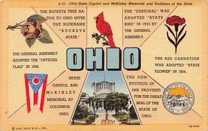 Postal de lino Ohio OH Greetings Flower Bird 4B-H420 - Imagen 1 de 2