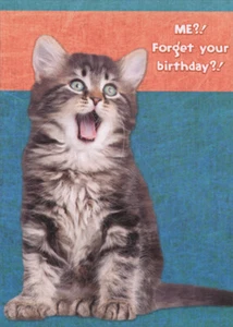 Shocked Kitten with Open Mouth Funny Humorous Cat Birthday Card - Picture 1 of 2