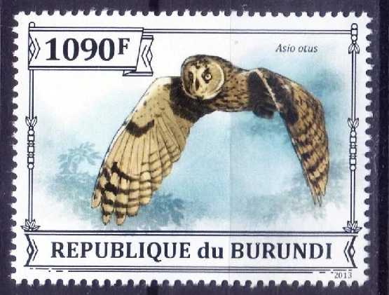 Búho de orejas largas, Asio otus, Birds of Prey, Burundi 2013 MNH  Foto 1 de 1