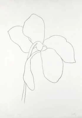 Impresión de calidad Cyclamen de Ellsworth Kelly - Frame Me Foto 1 de 2