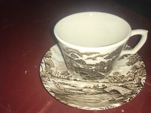 RIDGWAY STAFFORDSHIRE POTTERY COUNTRY DAYS CUP & SAUCER - Picture 1 of 3