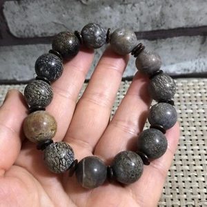 52g Pulido artesanal de fósiles esqueléticos de dinosaurios naturales en Madag d4 - Imagen 1 de 7