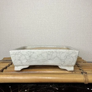 Bonsai Pot Japanese Art Shape Miniature Tree Container 12 x 10 x 3.5 cm White - Picture 1 of 5