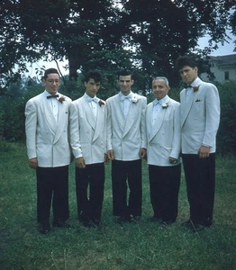 Vintage Stereo Realist Photo 3D Slide WEDDING 5 Groomsmen Outdoors - Picture 1 of 2