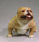1/6 American Bully Dog 2.0 Harzmodell Tierfigur Kunstdekor Statue 5 Farben