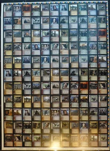 TCG 2 / Lord of the Rings Print Sheet / Uncut Sheet Ents of Fangorn Rare English - Picture 1 of 3