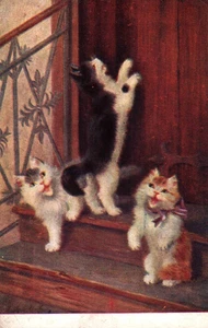 Three Kittens on Doorstep 1913 Vintage Postcard - Picture 1 of 2
